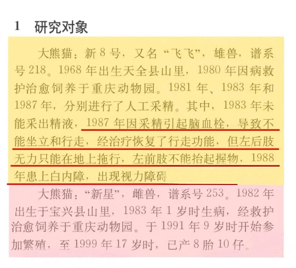 为什么要反对人工采精？？？
这是早些年重庆动物园大熊猫的一些历史
采精后对于大熊