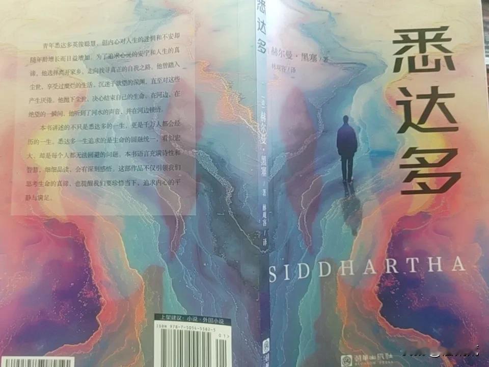 最近心情消沉，去医院做了个测试，严重的抑郁症，身体暴瘦12斤，听说读这本书可以找