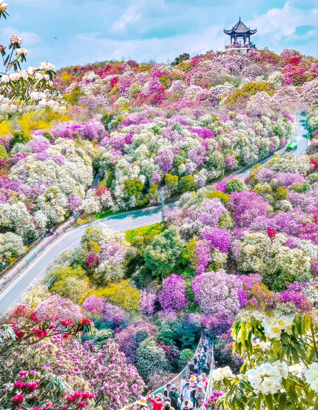 郭碧婷关美颜：这可能是向佐唯一做对的一件事
郭碧婷直播关美颜了。
就那么素颜，怼