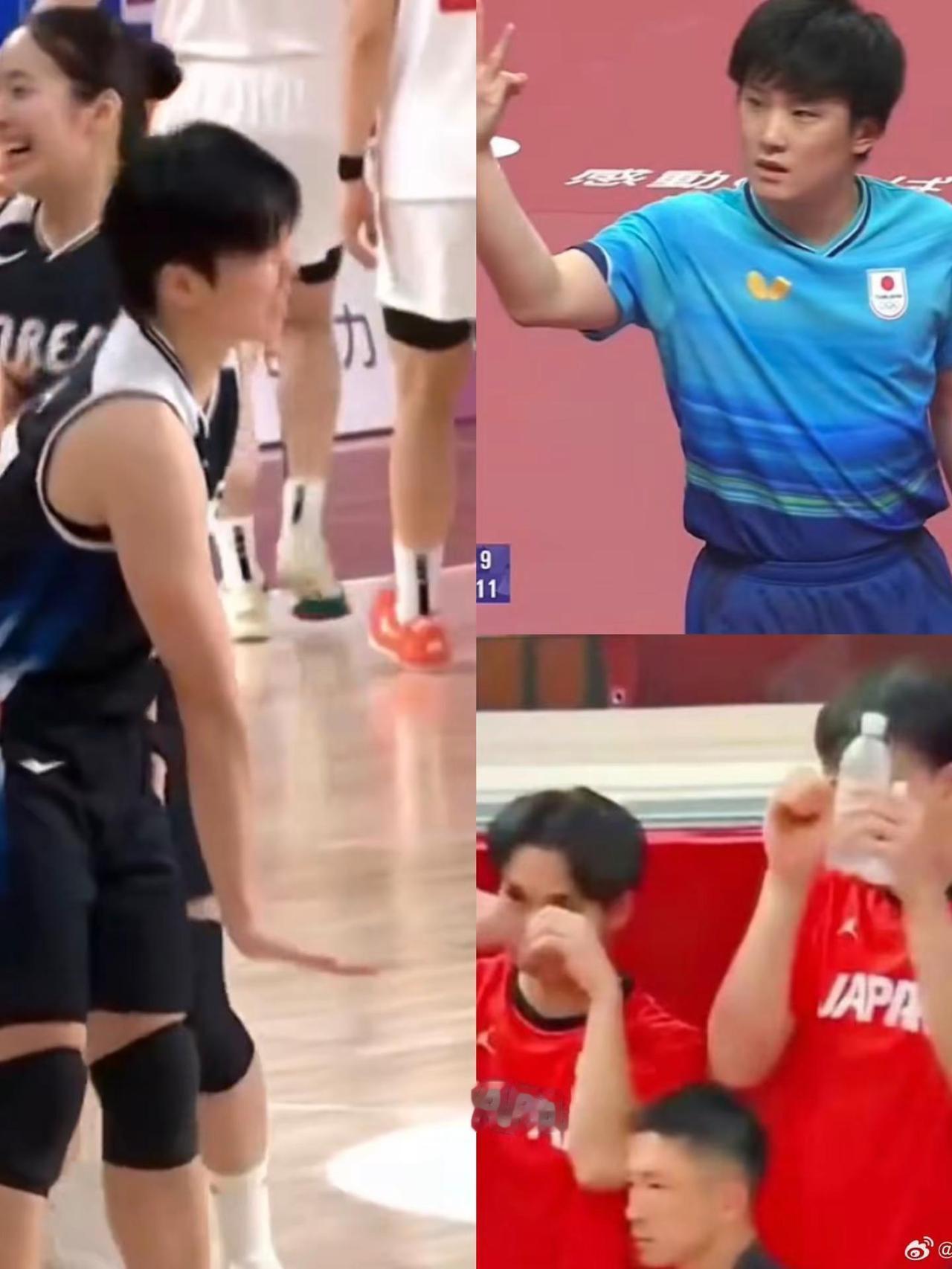 大家怎么看中国女篮中国男篮乒乓球
