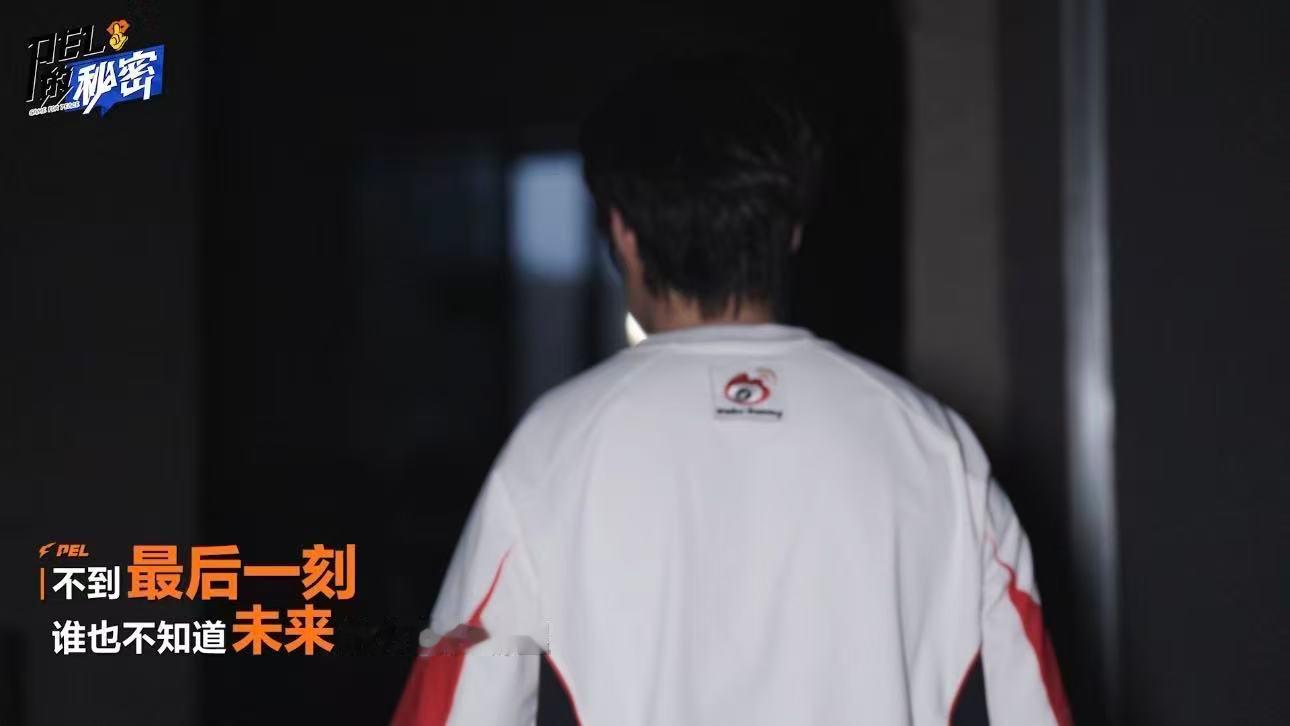 PEL的秘密以群像赴PEL盛夏探秘转会幕后，解锁全新故事！《PEL的秘密》转会期
