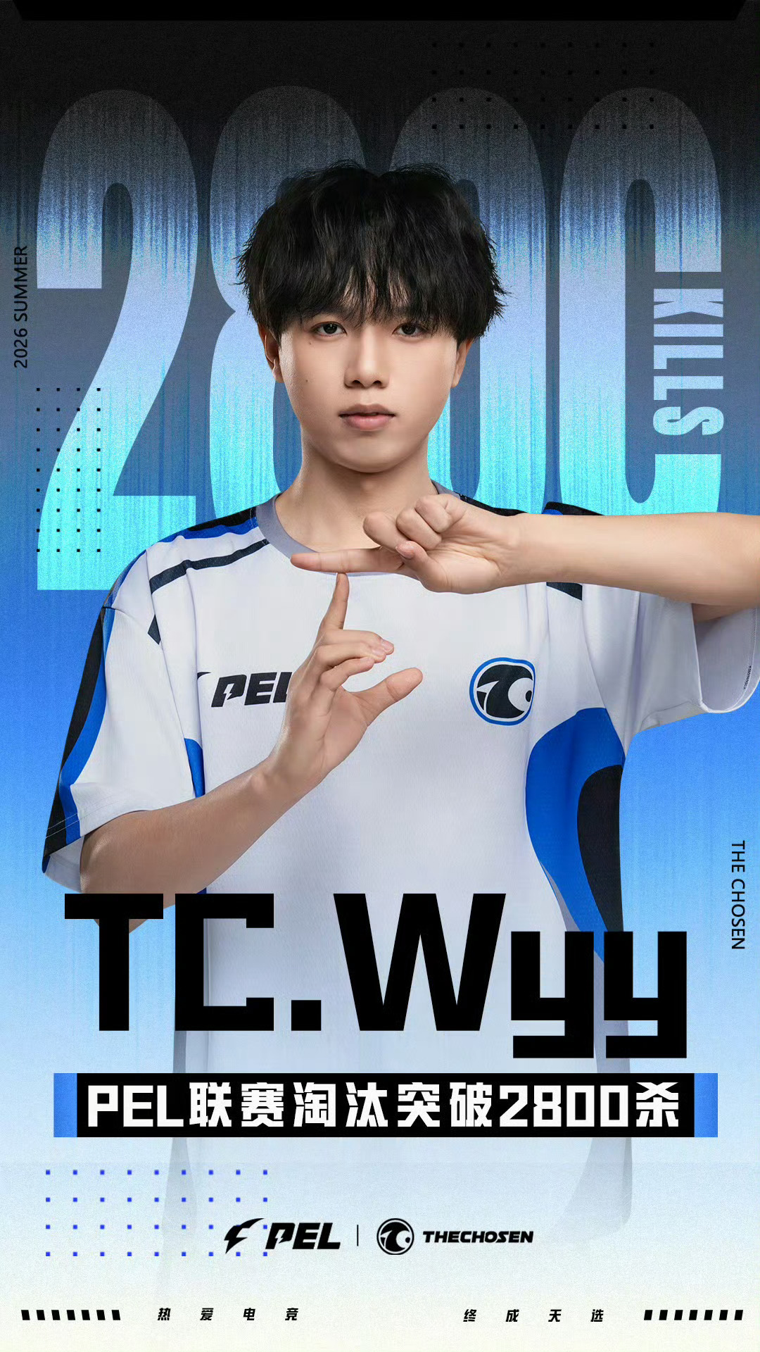 TC.wyy于PEL第六周突围赛达成联赛2800淘汰。该选手在2026夏季赛持续