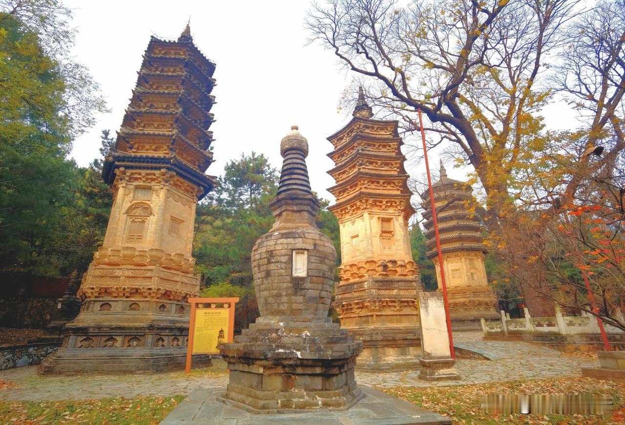 国内塔林众多，北京潭柘寺塔林名列其中的第九名。
潭柘寺始建于晋朝，素有“先有潭柘