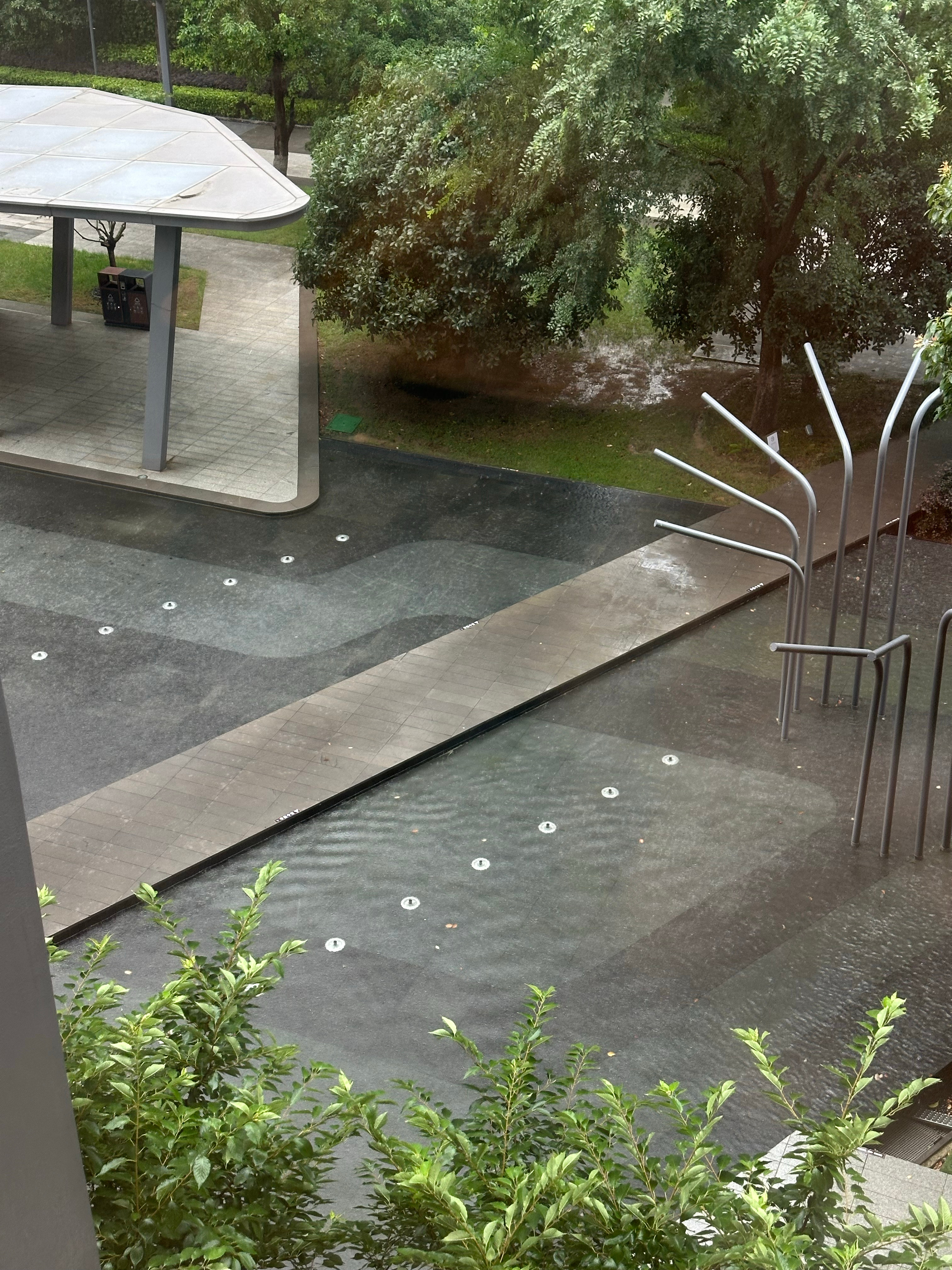 好大的雨 外面都吹的凉风 今天轻断食一下 昨天晚上睡前胀气胀的难受死了 