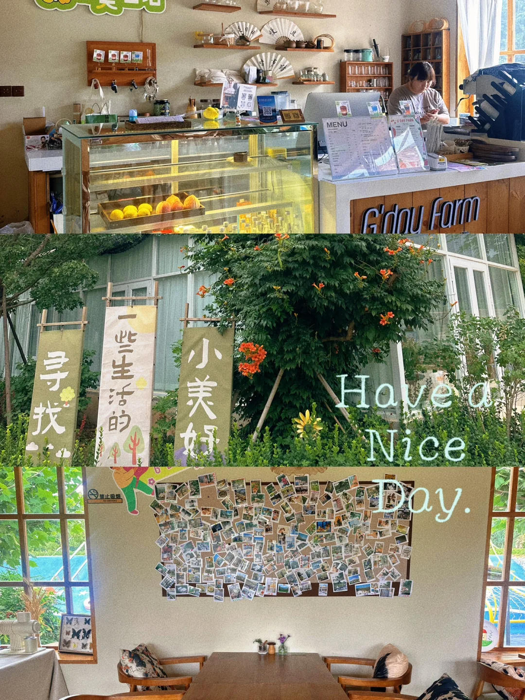 这是一家农场‼️也是一家民宿💯