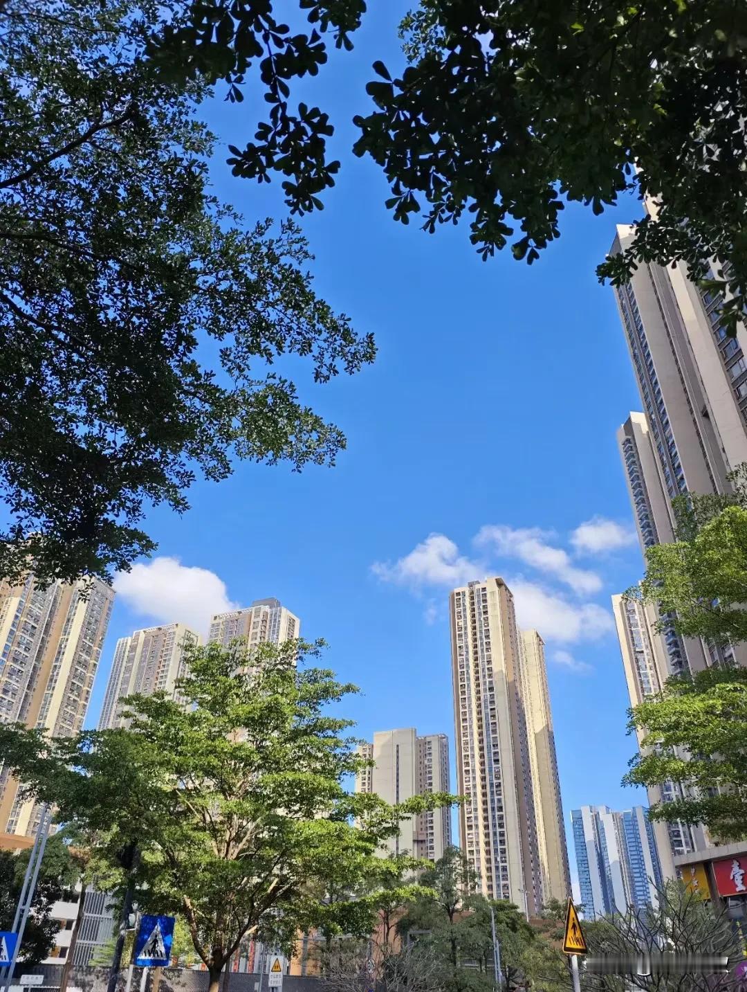 面对困难，乐观的心态是最好的武器。积极的心境，能为生活增添温暖与希望。