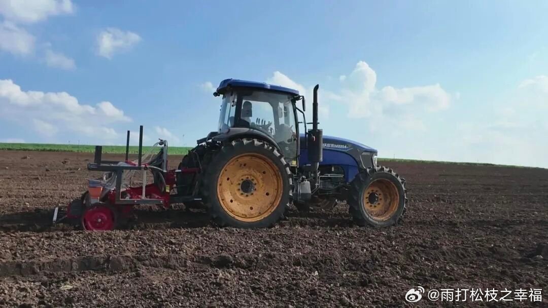 黑龙江网事我的宝藏黑龙江 眼下正值农田换茬关键期，龙江森工 八面通局公司收割麦苗