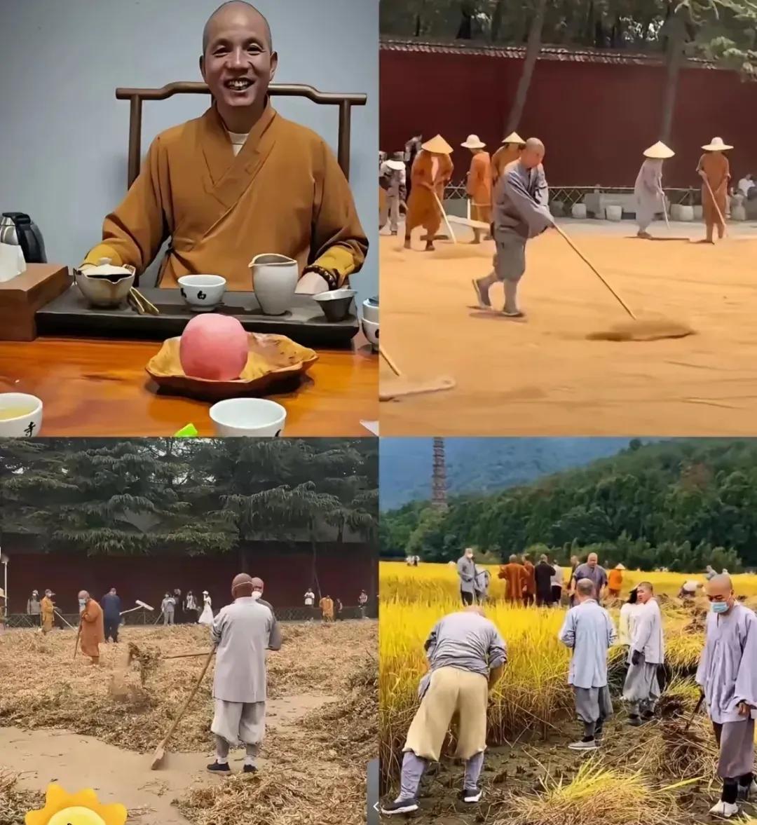 少林寺新掌门刚走马上任，就已经有几十个和尚排队离职，一时之间，“和尚离职潮”都能