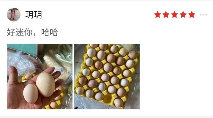 最大的鸡蛋有多大？我见过的最大鸡蛋2两重
老婆大人网购了15枚鸡蛋、总重量仅64