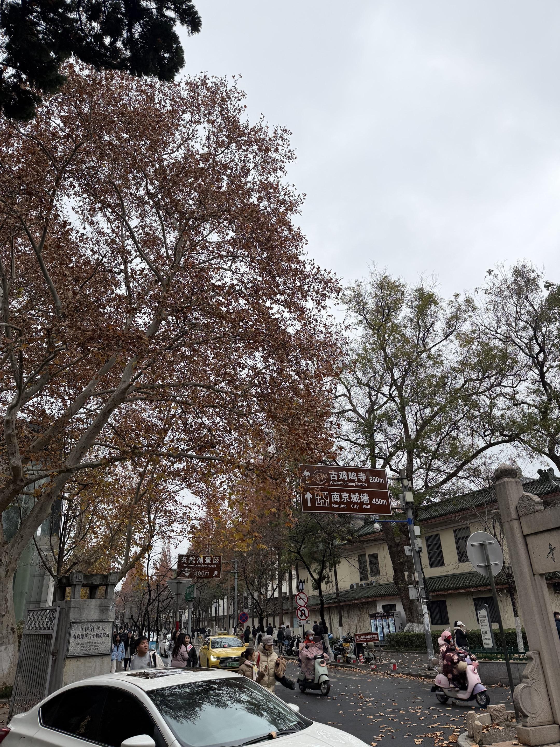 老天会让每一个真心的人以各种方式知道真相。  🍂