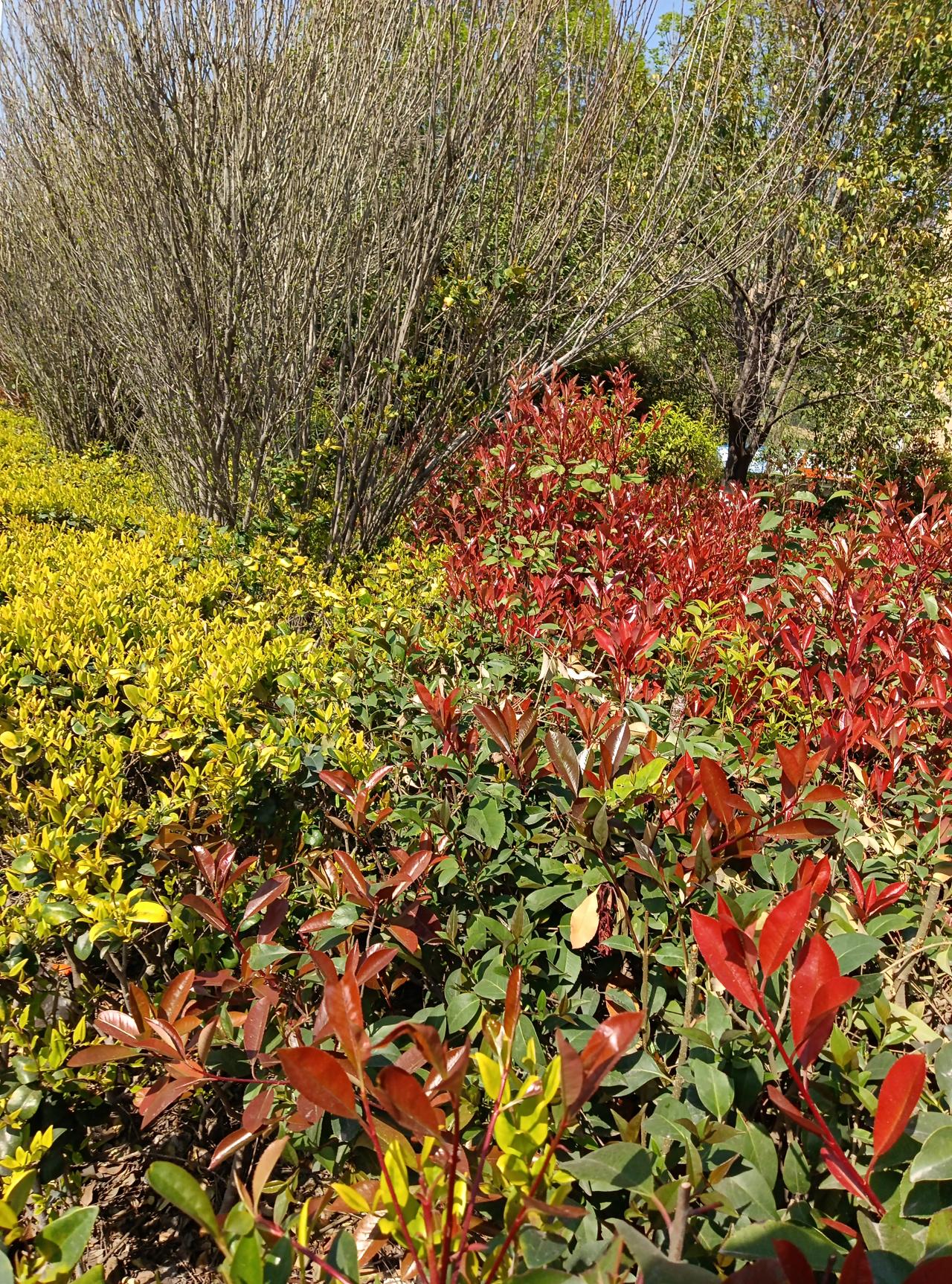 春日生活打卡季春风一吹，连心情都变温柔啦～晒晒太阳，听听鸟鸣，好好享受这限定的美
