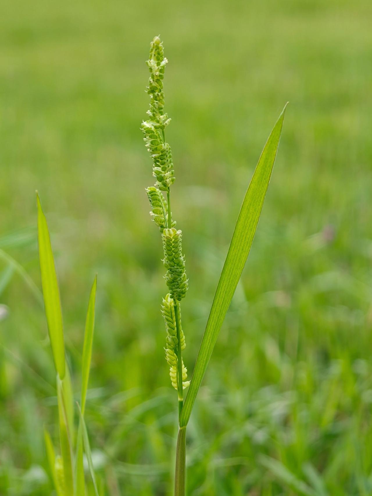 随时随地标记一下 标记我的出片搭子 用一张照片证明你是花友 用镜头捕捉春天 看看