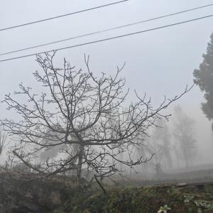 樊哥有本读不尽的书