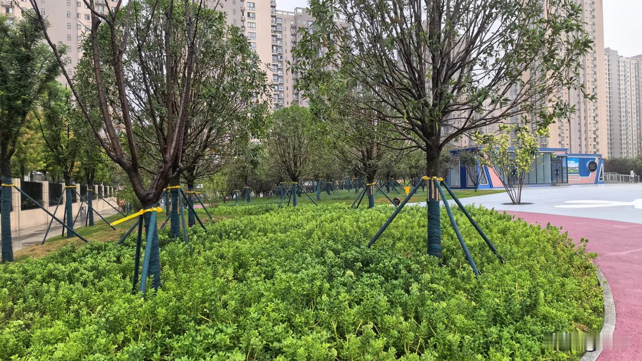【秋蕊香•白露垂珠】
白露垂珠沾草，月动秋湖水老。
疾风带冷残荷倒，惊起林梢雀鸟
