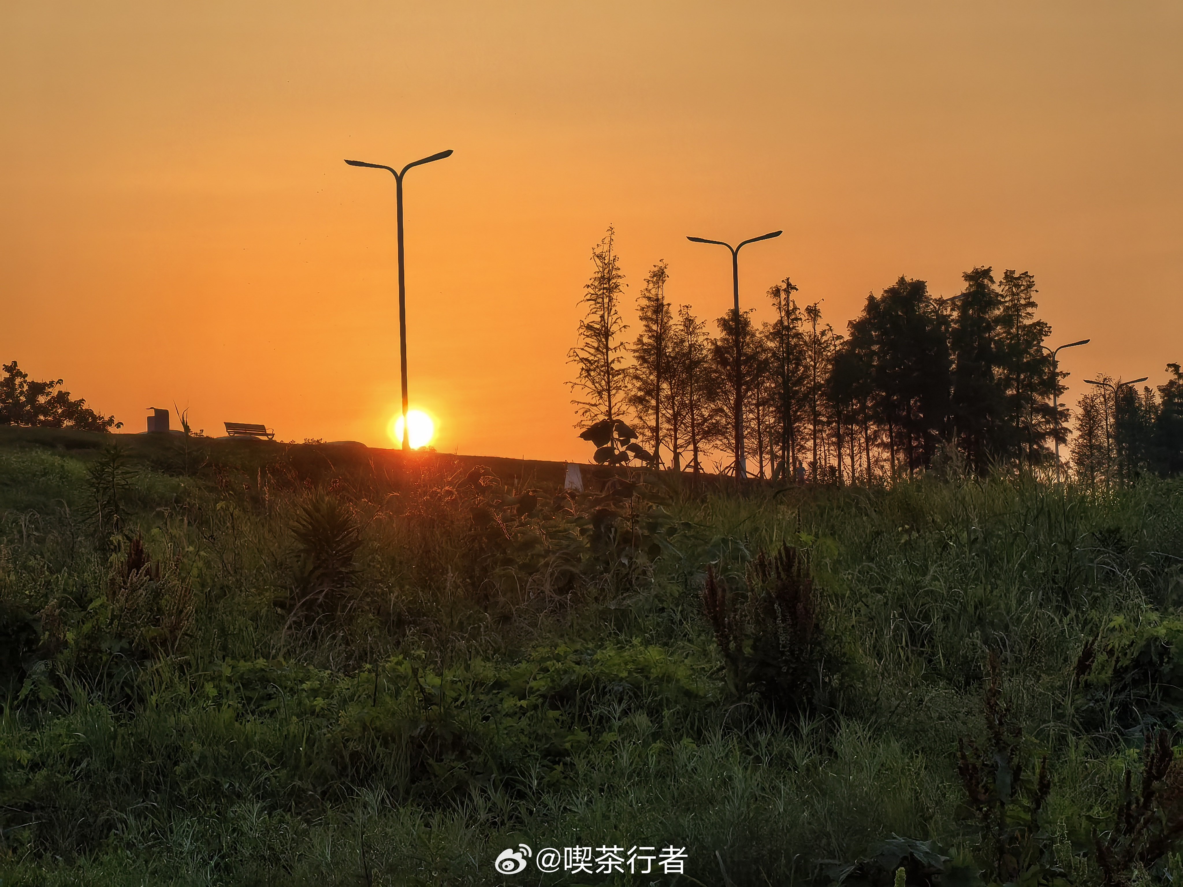 好事在路上，慢点也无妨。周二早安。 