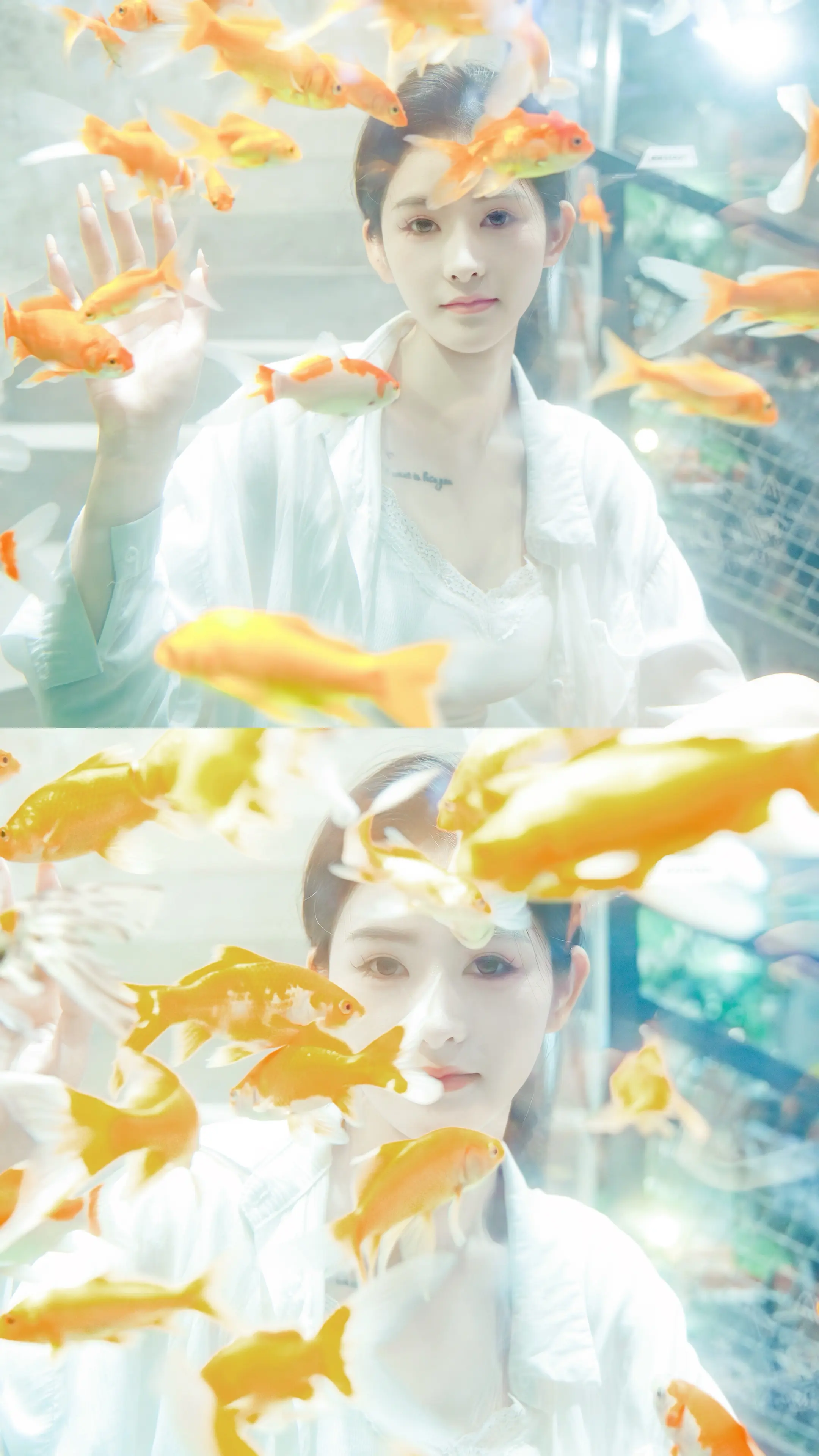 我想做你池塘里的那一条泥鳅