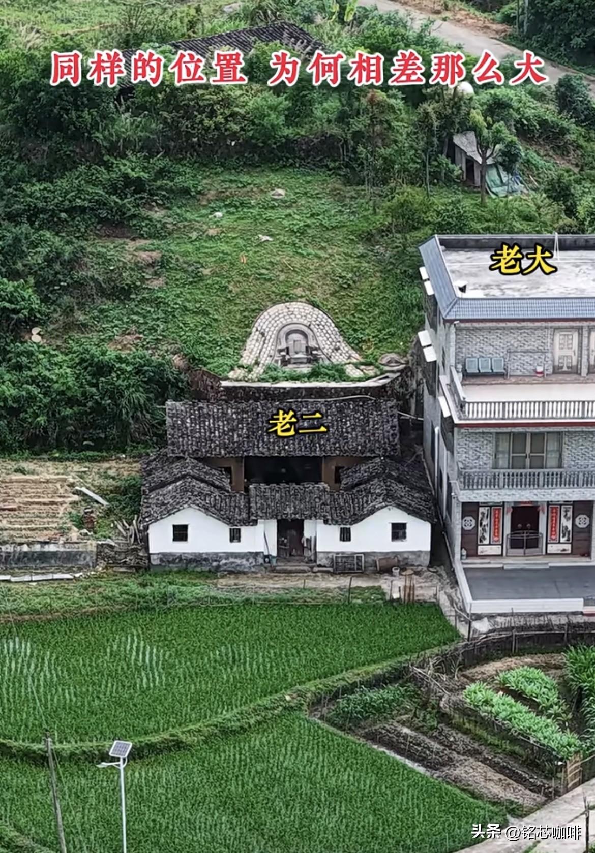 同样的位置，
兄弟为何相差那么大呢⁉️
大家知道为什么吗⁉️