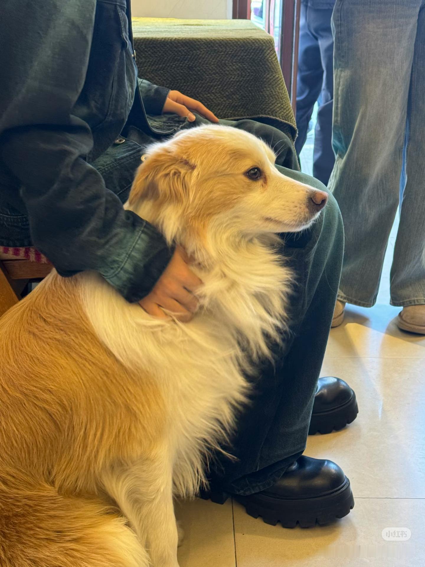 刘宇在台州被偶遇，他每次打扮的都很好看 