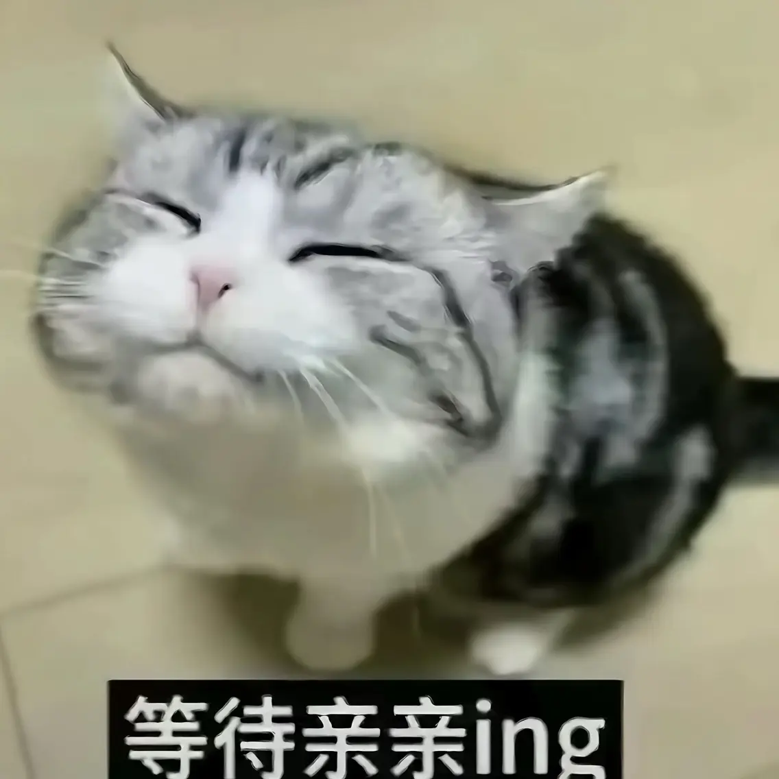 等待燿日亲亲。