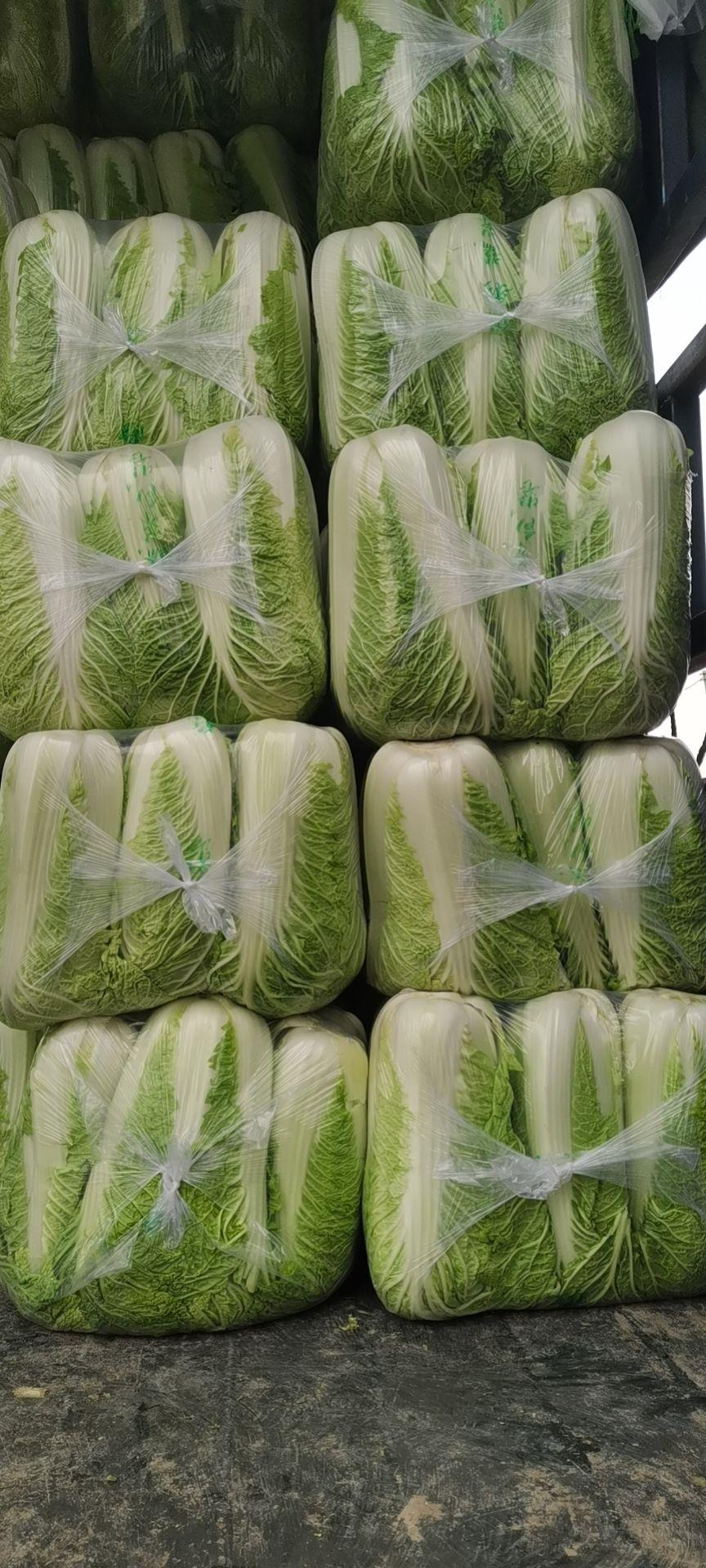 卖白菜的又哭了，哭的伤心欲绝…
前几天白菜商贩哭过一回，那是高兴的哭，花1块5把