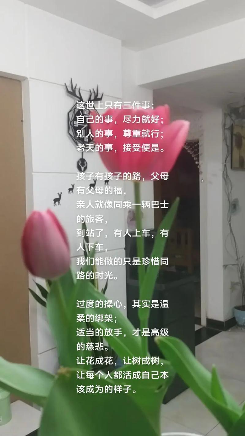 老人其实可以少操心儿女的事。儿女成年后有自己的生活和选择，过度操心容易引发矛盾，