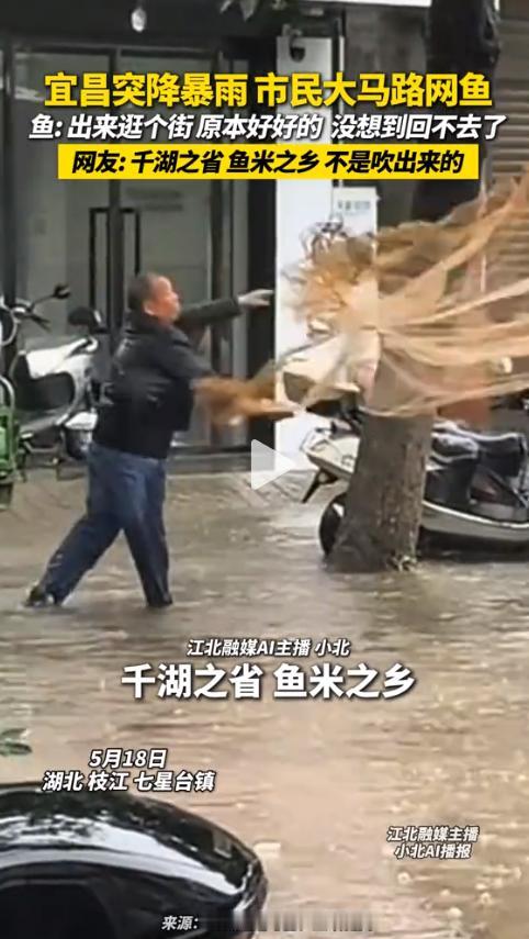 “快拿桶来！”5月17日，湖北宜昌一场暴雨刚歇，积水还没退去的马路上，突然传来一