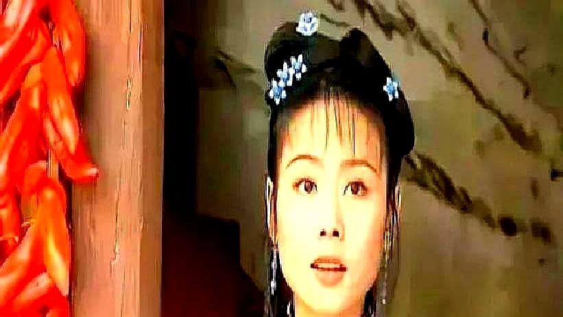 男主一集2000，配角竟有5000？
 
1998年，苏有朋拿着《还珠格格》的合