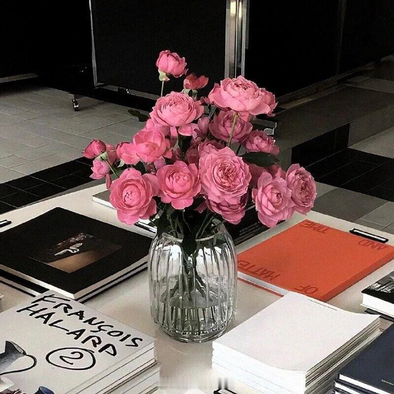 名字是你在这世上存在的证明，是你成为你自己的前提。——《隐藏的名字》晚安