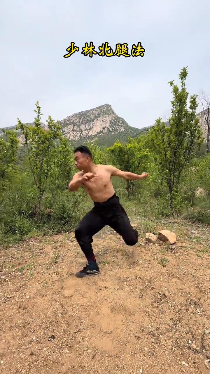 少林北腿法。