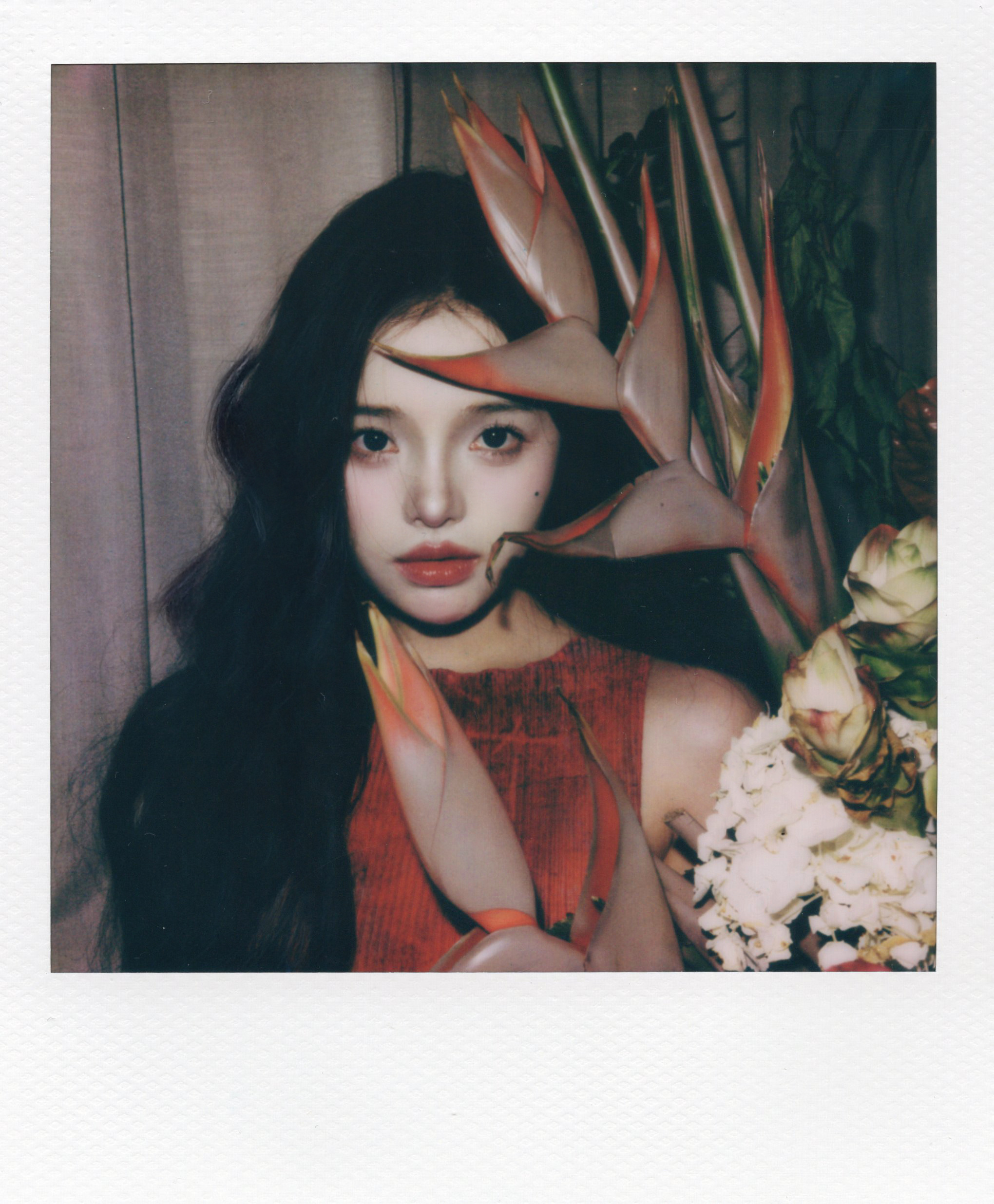 𝐏𝐨𝐥𝐚𝐫𝐨𝐢𝐝.📷 ​​​