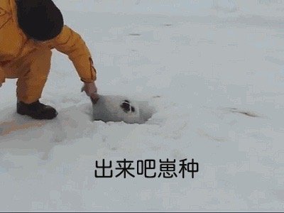 作为平时基本不刷契灵的摆烂痒痒鼠，超鬼王契灵箱子恐成为本年度最大的契灵收入来源。
