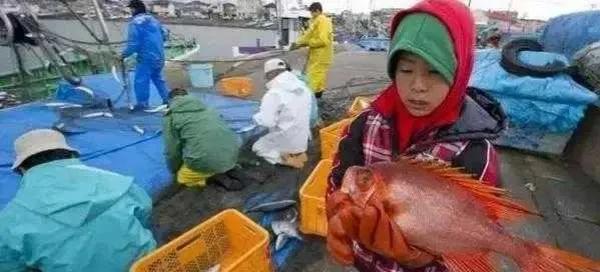 倒打一耙！日本政府太过分。“恶人先告状”，日本外务大臣林芳正今天在接受采访时表示