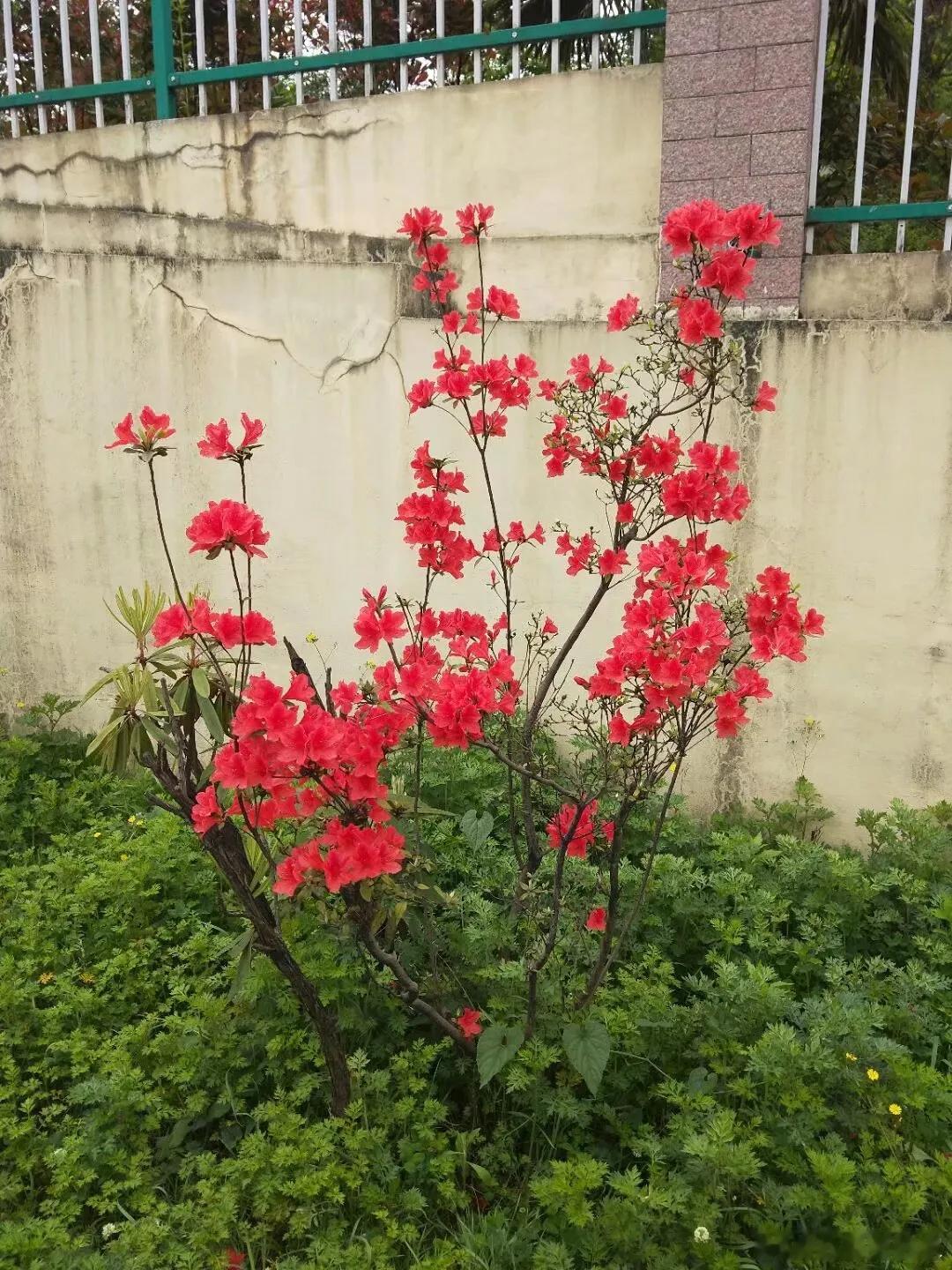 A股马上开盘，紧急提醒，要跑吗？加息早被定价了，全球债市抛售才是真雷！一、隔夜美