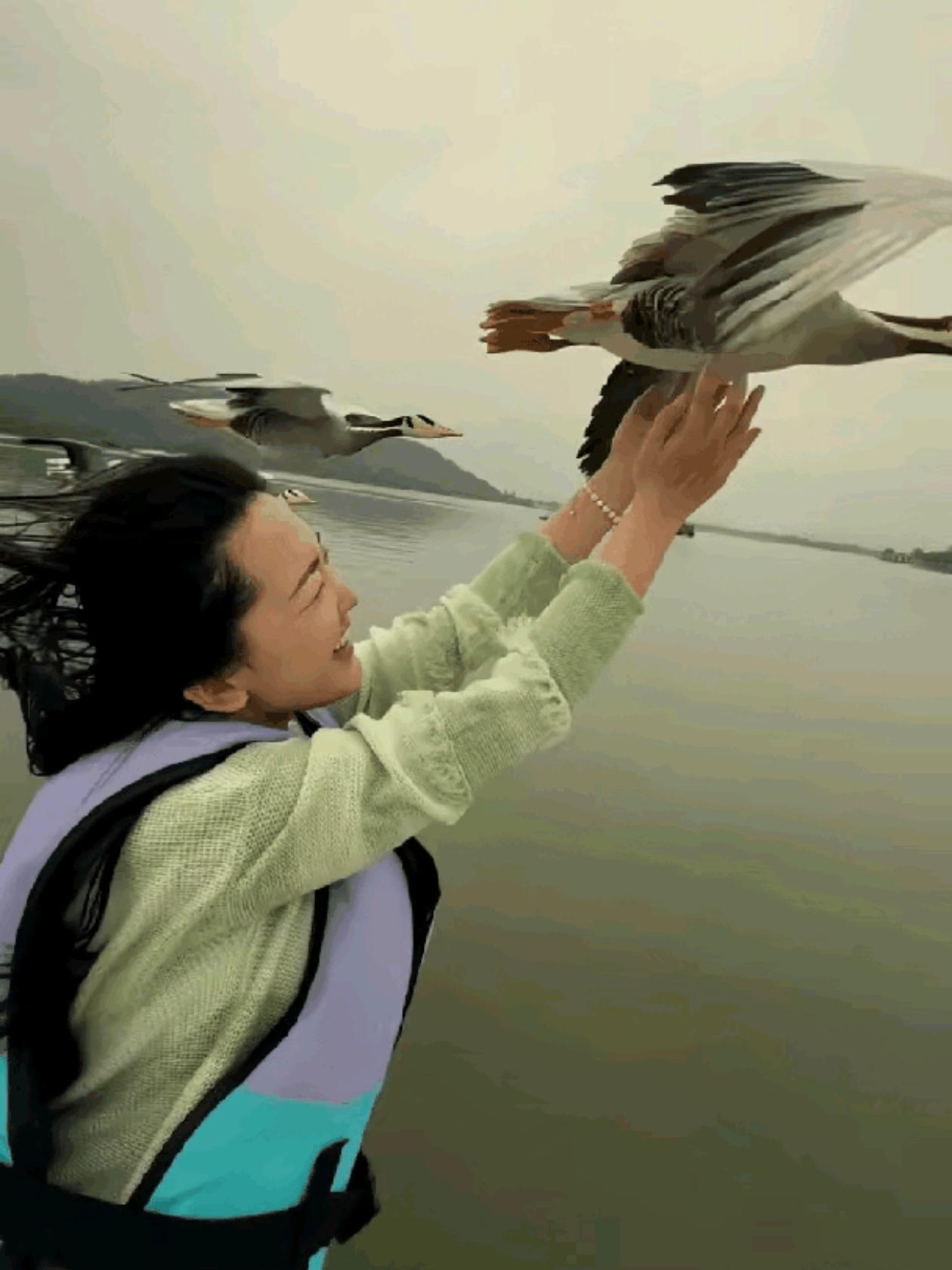 武汉东湖，一名女子乘船游玩的时候，遇到了一群大雁贴着船身飞，她试探着伸出手，一只