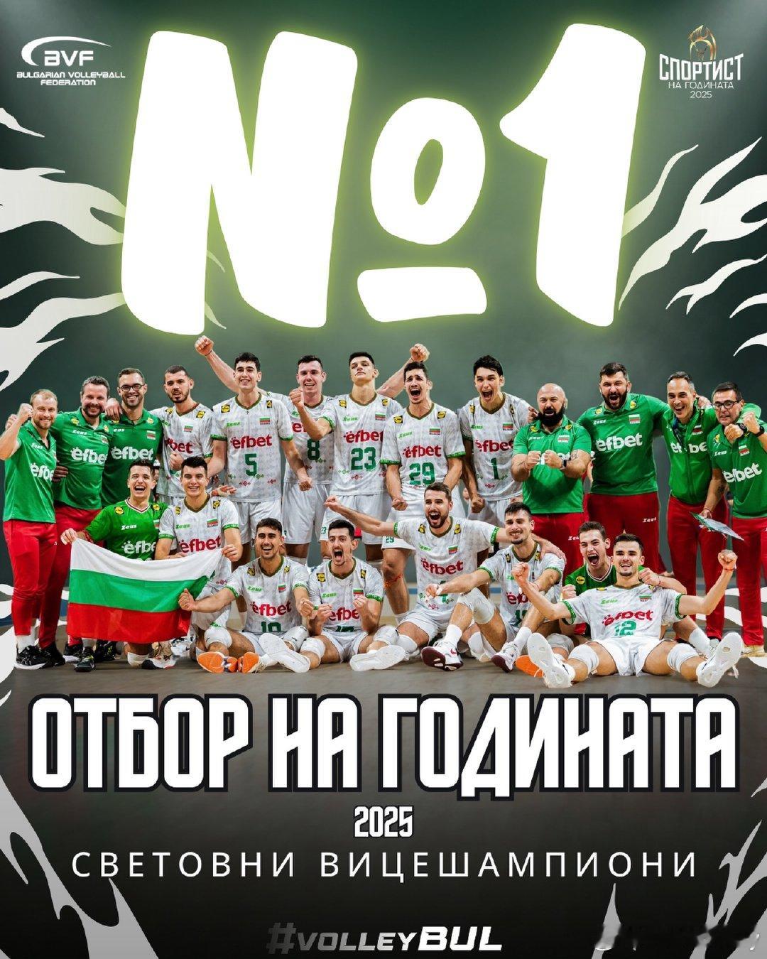 世锦赛摘银的保加利亚国家男排被评为年度最佳团队，主教练布伦基尼被评为年度最佳教练