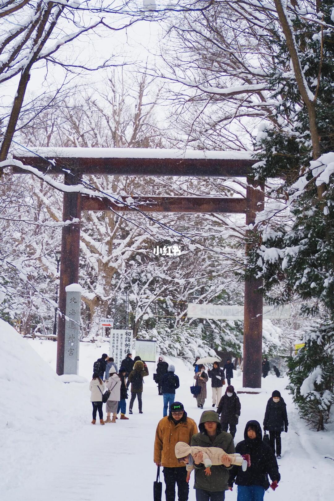 北海道札幌一日游City Walk❄️