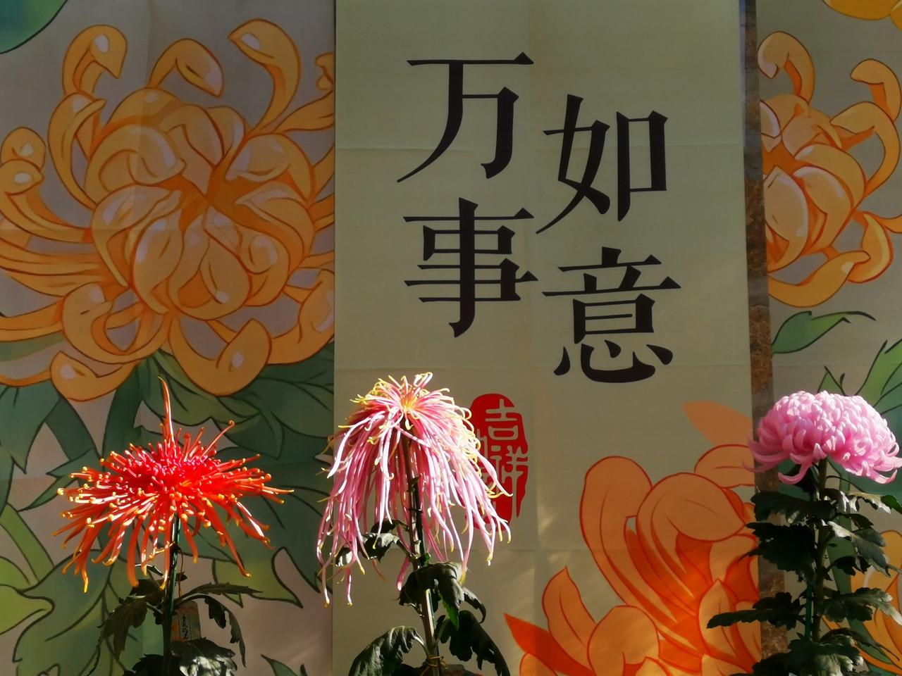 为什么好人没有好报？今天在楼下遇到邻居小孙，只见其面容憔悴，步履蹒跚。“小孙，你
