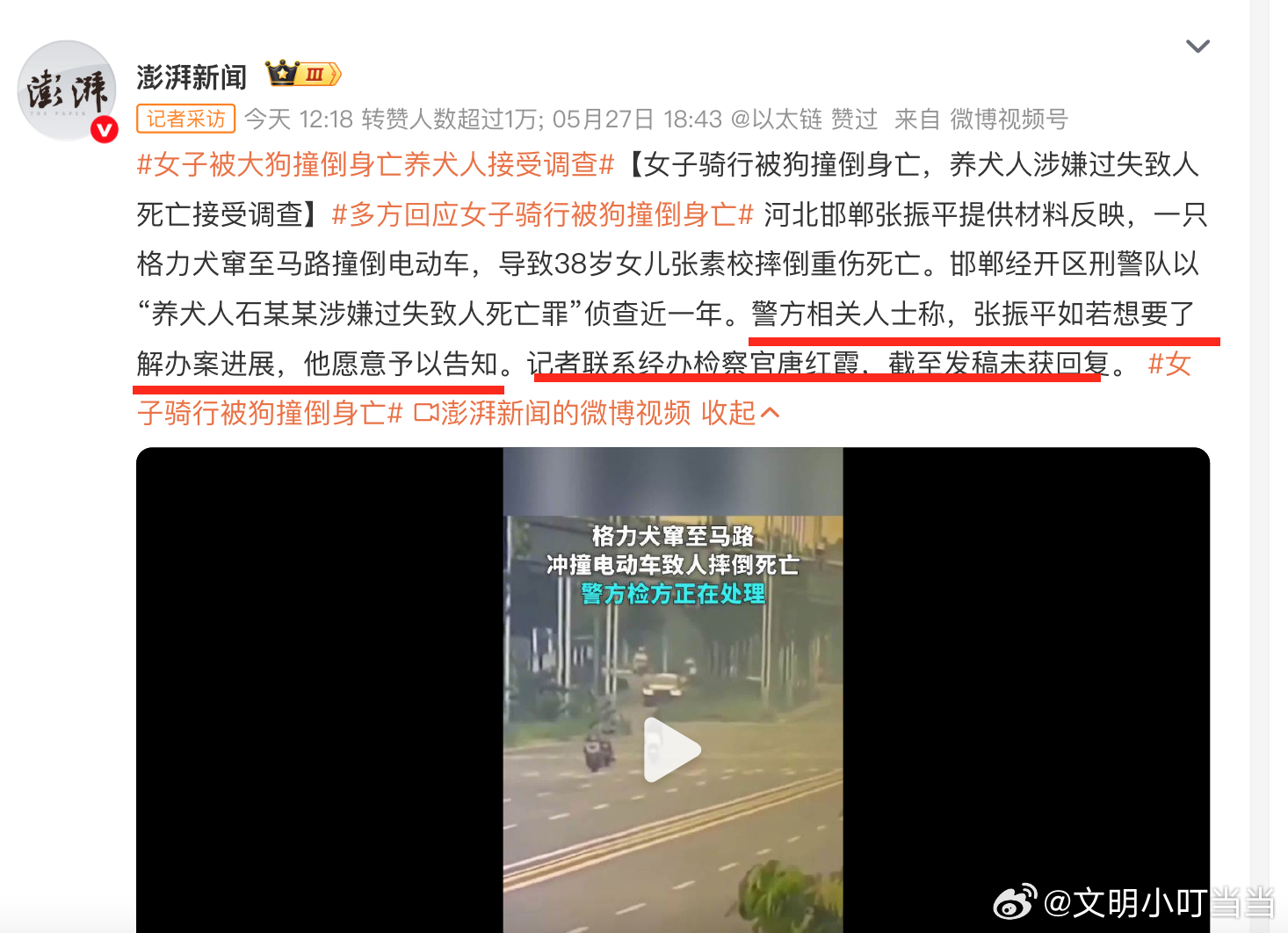 男子遛狗从不栓绳撞死人否认养狗 这操作不懂。等人至今昏迷不醒，又愿意告之进展。女