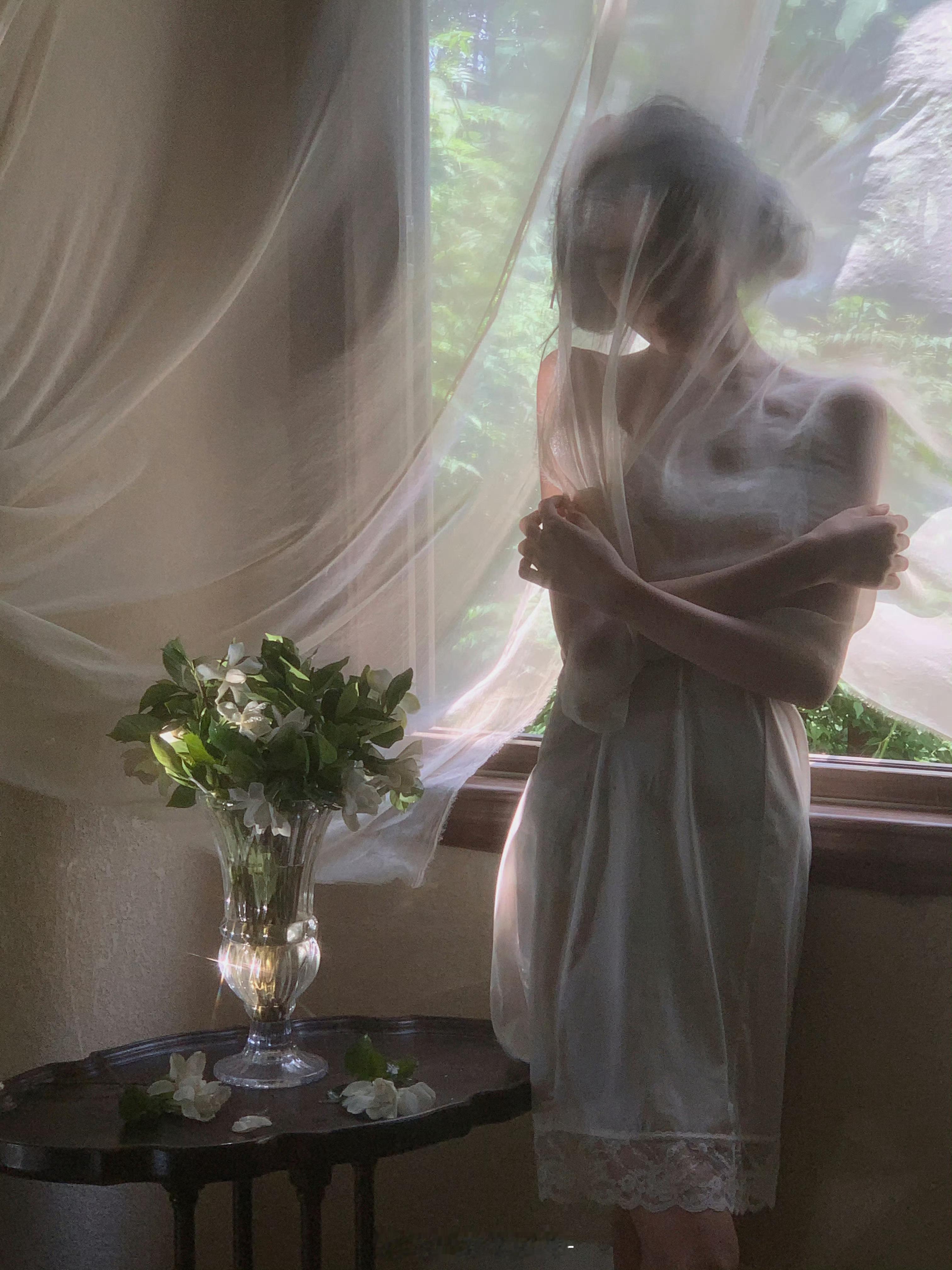 白色栀子花 ​​​