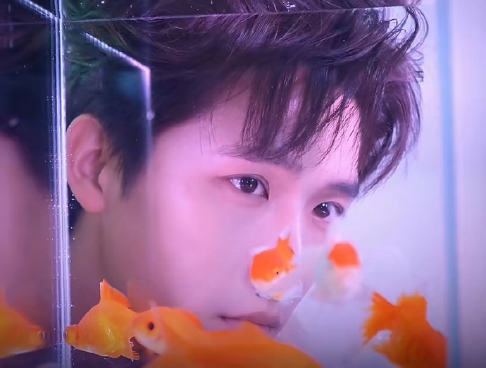 章若楠王安宇情头章若楠王安宇情侣头像章若楠王安宇情头! 