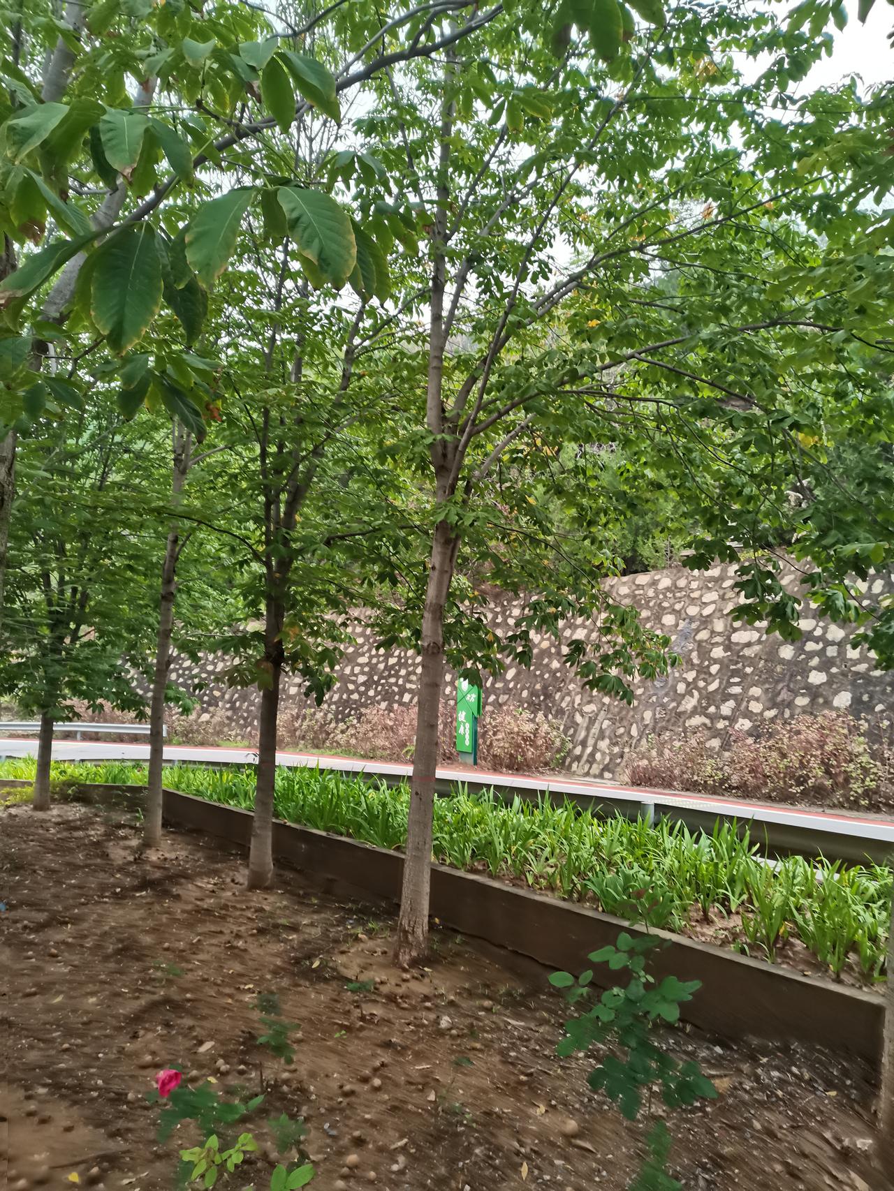 生活不会一直一帆风顺，但也不会一直狂风暴雨。
 
那些打不倒你的，终将让你更强大