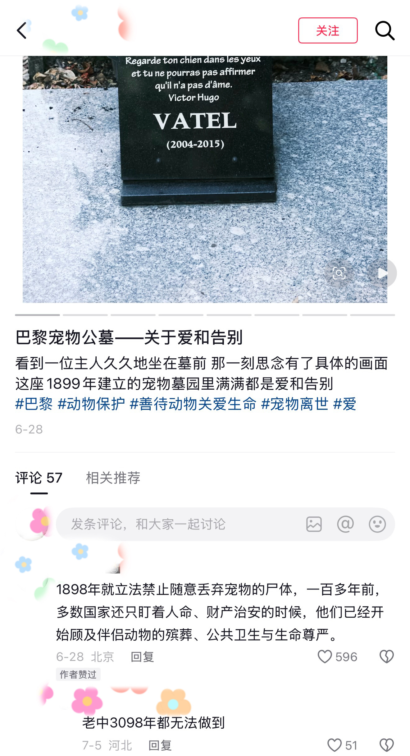 【44051】求瑞萍，视频内容本身很好，而评论区开始刷新的贵物评论让我感觉回到了
