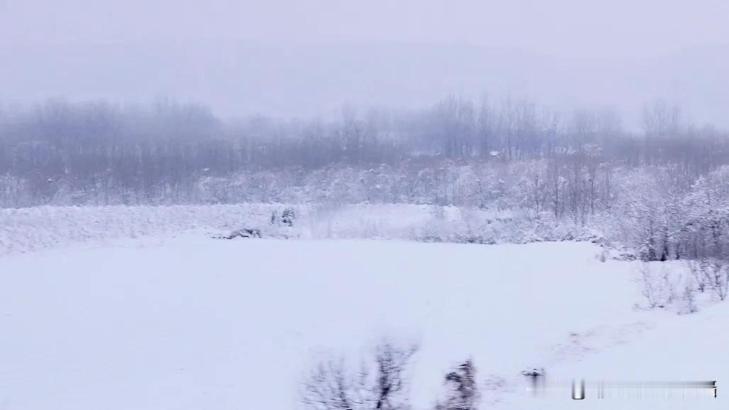 在飞驰的高铁上，望向窗外。远处，皑皑白雪覆盖着大地，山峦、树木都换上了银装。雪色