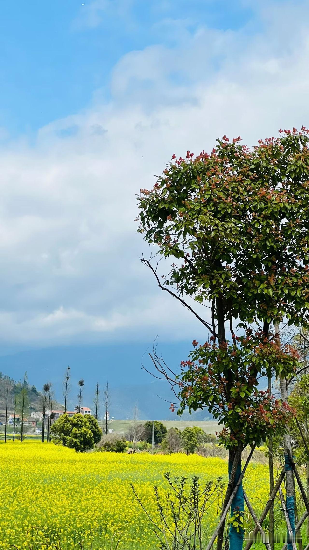 很多人不知道
后半辈子，真正该躺平的，是这些事

人过了中年之后，才慢慢懂得：