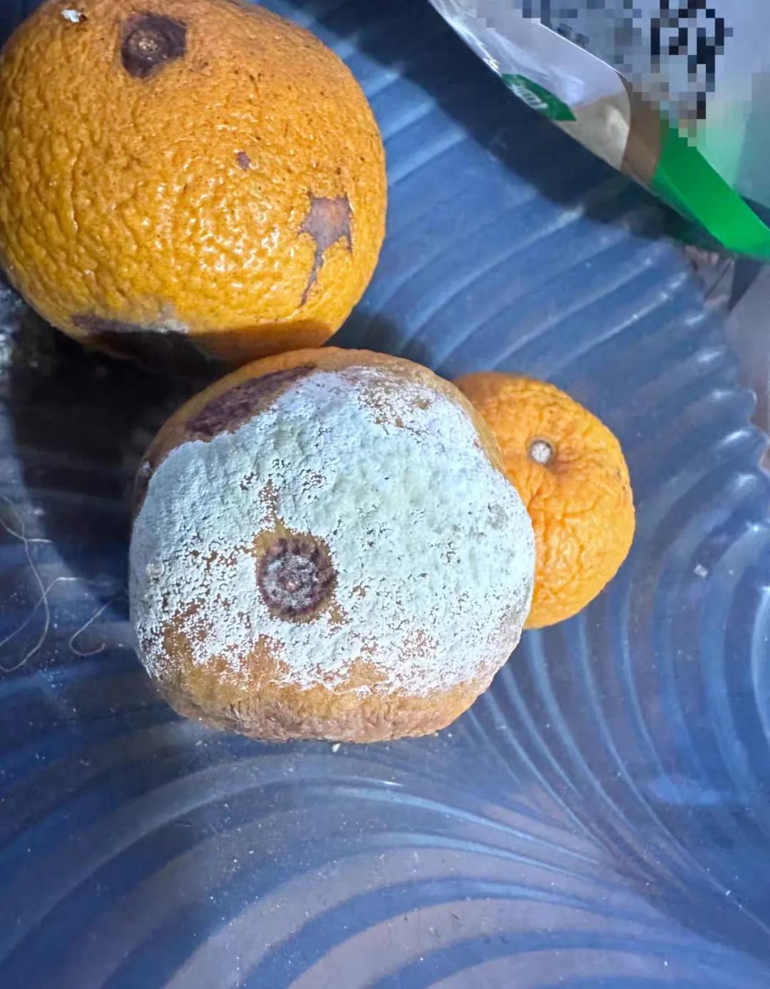 发霉的橘子真能卖钱吗？