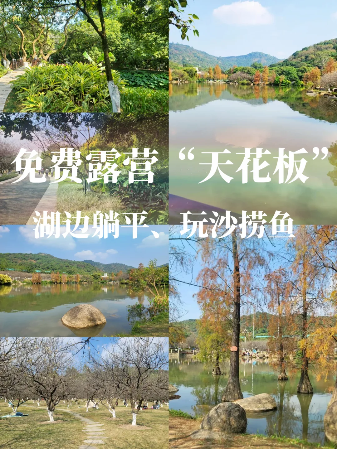广州“免费露营天花板”，湖边躺平、玩沙捞