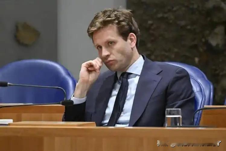 12月5日荷兰议会听证会上，经济事务大臣卡雷曼斯当众承认，被中方叫停芯片出口的反