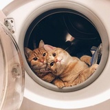 圆滚香热品科技