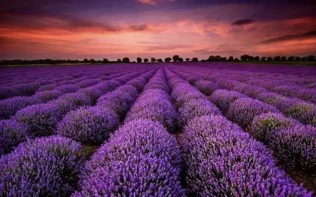 马上就要放五一大假了，有5天的时间，能玩不少的地方。一周前，认识的王大姐，巳经牵