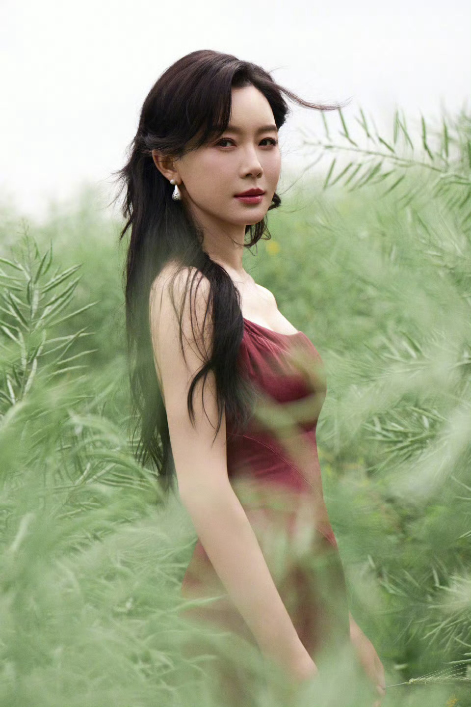 陈数陈数陈数